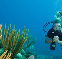Coastal Water Dive - Tourism Adelaide