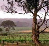 Yangarra Estate Vineyard - Tourism Adelaide