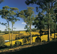 Lobethal Archives And Historical Museum - Tourism Adelaide