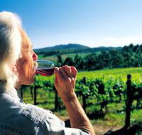 Ashton Hills Vineyard - Tourism Adelaide