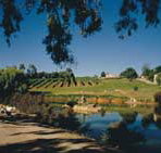 Mount Hurtle Winery home of Geoff Merrill Wines - Tourism Adelaide