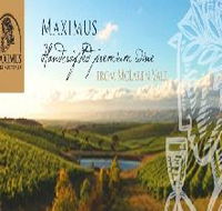 Maximus Wines Australia - Tourism Adelaide
