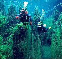 Ewens Ponds Conservation Park - Tourism Adelaide