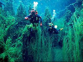 Ewens Ponds Conservation Park - Tourism Adelaide 0