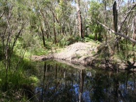Para Wirra Recreation Park - Tourism Adelaide 0