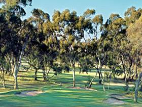 Tanunda Pines Golf Club - Tourism Adelaide 0