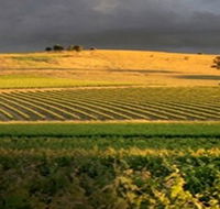 Kellermeister Wines - Tourism Adelaide