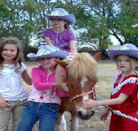 Amberainbow Pony Rides - Tourism Adelaide