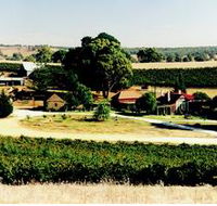 Irvine Wines - Tourism Adelaide