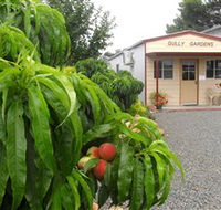 Gully Gardens - Tourism Adelaide
