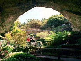 Engelbrecht Cave - Tourism Adelaide 0