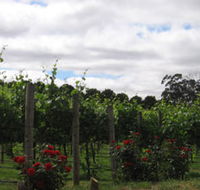 Manyara Vineyard - Tourism Adelaide