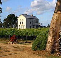 Highbank Vineyards - Tourism Adelaide