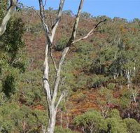 Black Hill Conservation Park - Tourism Adelaide