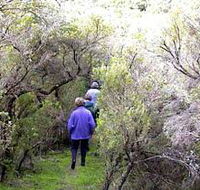 Jack And Hilda McArthur Walk - Tourism Adelaide