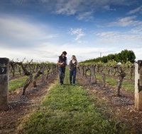 Coonawarra Wineries Walking Trail - Tourism Adelaide