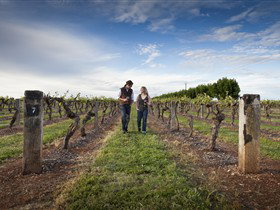 Coonawarra Wineries Walking Trail - Tourism Adelaide 0