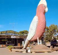 The Big Galah - Tourism Adelaide