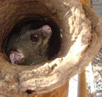 Mulga Sanctuary and Wildlife Park