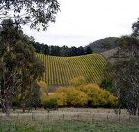 Mt Bera Vineyards - Tourism Adelaide