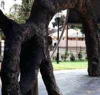 Old Gum Tree - Tourism Adelaide