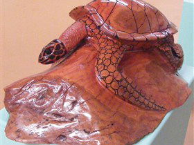 Ants Redgum Gallery - Tourism Adelaide 0