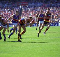 AAMI Stadium Tours - Tourism Adelaide