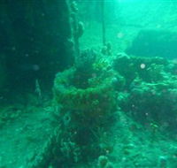 Wallaroo Scuba Club - Tourism Adelaide