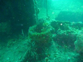 Wallaroo Scuba Club - Tourism Adelaide 0