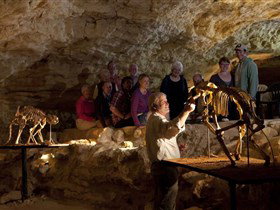 Naracoorte Caves National Park - Tourism Adelaide 0