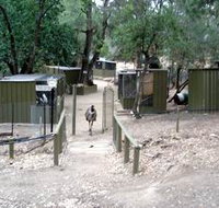 Humbug Scrub Wildlife Sanctuary - Tourism Adelaide