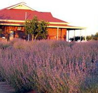 Bella Lavender Estate - Tourism Adelaide