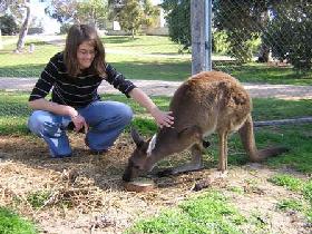 Petherick SA Tourism Adelaide