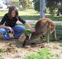 Pendleton Farmstay - Tourism Adelaide