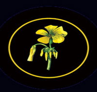 Battle of Bosworth Wines - Tourism Adelaide