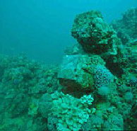 Adelaide's Underwater Heritage Trail - Tourism Adelaide