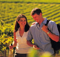 Lady Bay Vineyard - Tourism Adelaide