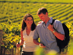 Lady Bay Vineyard - Tourism Adelaide 0