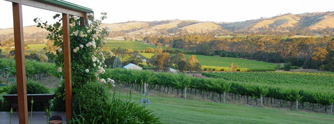 DogRidge - Tourism Adelaide 2