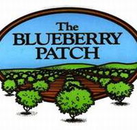 The Blueberry Patch - Tourism Adelaide