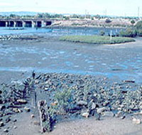 Jervois Basin Ships' Graveyard - Tourism Adelaide