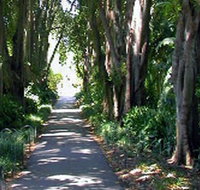 Adelaide Botanic Garden - Tourism Adelaide