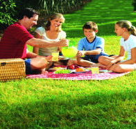 Bruny Island Berry Farm