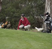 Tasmania Golf Club - The - Tourism Adelaide