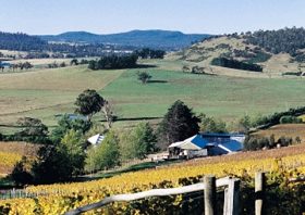 Freycinet Vineyards Pty Ltd - Tourism Adelaide 0