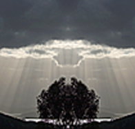 aart. Gallery of Fine Art - Tourism Adelaide