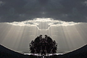Aart. Gallery Of Fine Art - Tourism Adelaide 0