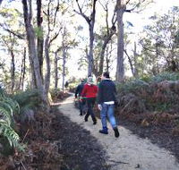 Bridport Walking Track - Tourism Adelaide