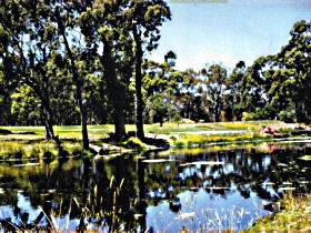 Alcomie TAS Tourism Adelaide
