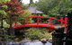 Royal Tasmanian Botanical Gardens - thumb 0